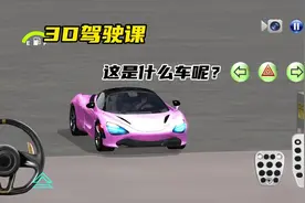 #233乐园 #3D驾驶课 #模拟游戏 快来坐飞机吧