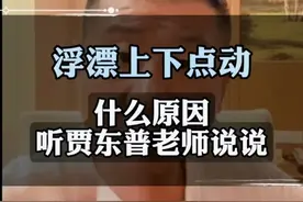 浮漂漂相上下点动，就是不给真实口，听完贾老师一说，知道怎么回事怎么解决了#钓鱼技巧 #干货分享 #爱生活爱钓鱼#户外钓鱼 #黑坑钓鱼技巧