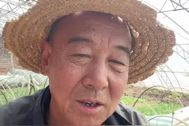 三月三芥菜煮鸡蛋，赛神丹，芥菜就是地菜。#农村谚语 #三月三芥菜煮鸡蛋 #生活小妙招 。#民间传说视频封面