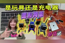 钢索扛回赛博坦星球盲盒，里面竟然是会变形的充电狗 #变形金钢视频封面