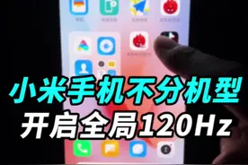小米手机如何开启全局120Hz高刷新率？不分机型、不限屏幕，今天教会你！