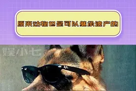 就...人能继承狗狗的遗产嘛？！！#遗产 #狗狗 #真实