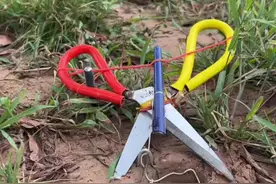 户外打野剪刀陷阱#神奇动物在抖音 #户外打野视频封面