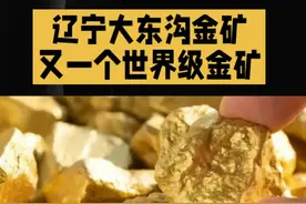 辽宁大东沟金矿 又一个世界级金矿