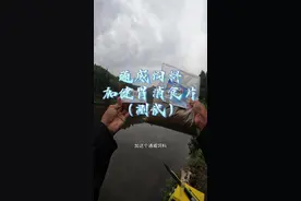 健胃消食片加通威饲料能不能让不开口的鱼开口？#钓鱼#钓鱼人就是这么疯狂#钓鱼的乐趣只有钓鱼人懂 #猛攻淦将视频封面