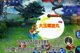 百星梦琪打野：祭奠逝去的通天代胖猫，愿你来世遇良人#国服梦奇视频封面