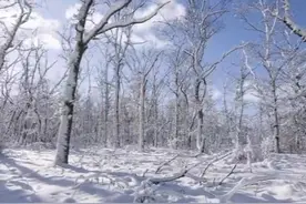 工作之余的快乐时光……😀😀😀视频封面