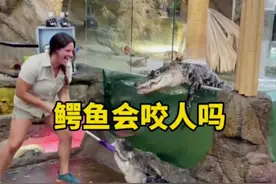 没想到饲养员给鳄鱼喂食会这么有趣，那么饲养员去抱鳄鱼会不会被咬呢？#鳄鱼 #动物 #科普#涨知识#动物园视频封面