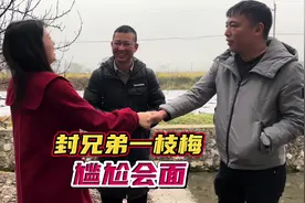 闷蛋封兄弟，开门见山要脱单，一枝梅底气十足#相亲 #尴尬时刻视频封面