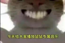 #吃鸡日常 #魔性猫咪表情包视频封面