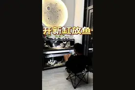 开新缸放鱼，这是孙超伟养鱼以来最下血本的一次#鱼缸#养鱼#养鱼日记视频封面