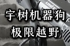 全程高能宇树机器狗B2W户外越野暴力实测！ 放眼全球，除了云深处的机器狼山猫，恐怕没有对手。B2W最高时速20公里，负载40kg状态下续航里程50公里，可跳跃2米，水平拉力高达100公斤！#机器狼 #宇树机器狗 #轮足机器狗 #机器人 #人工智能视频封面
