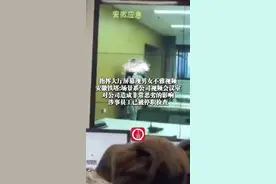 4月25日，#安徽铁塔通报指挥大厅屏幕现男女不雅视频 ：场景系公司视频会议室，对公司造成非常恶劣的影响，涉事员工已被停职检查视频封面