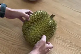 #开榴莲就是一场豪赌 #这榴莲是来报恩的吧 #榴莲爱好者视频封面