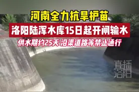河南全力抗旱护苗，洛阳陆浑水库15日起开闸输水，供水期约25天，沿渠道路等禁止通行！#河南 #抗旱浇地视频封面