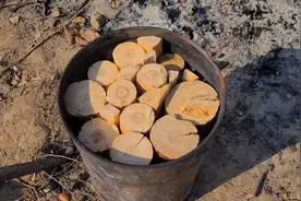 杉木是做黑药最好的木炭