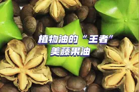 美藤果油的功效与作用#以油养肤 #以油养肤的护肤分享 #科学护肤