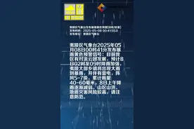 夷陵区气象台发布暴雨黄色预警[III级/较重]视频封面
