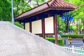 @宁波月湖院士林位于宁波市国家级5A景区天一阁·月湖景区内，是为纪念宁波籍两院院士而建的园林。宁波历史悠久，文化底蕴深厚，是我国著名的“院士之乡”。截至2022年统计数据，宁波籍中国科学院、中国工程院院士数量已达122人，遍布中国科学院和中国工程院所有15个研究学部，总数居全国各大城市之首。1999年，宁波提出科教兴市“一号工程”，同年，32位宁波籍院士专程返乡，在月湖边上种下了32棵银杏树，院士林由此诞生。此后，院士们陆续利用回乡的机会，在此增植树木，如今这里已长成一片规模较大的“院士林”。院士林内林木苍翠，草坪茵茵，亭台雅致，湖波抚岸，还有小桥流水，曲径通幽，花池假山，碑刻匾额等景观。入口处有一块巨大的铜质碑刻，刻录着一百多位宁波籍的中科院院士姓名。院士林的设立，旨在让人们学习院士们对科学技术事业的献身精神，也是宁波市在尊重知识、尊重人才上所做的一件实事，全方位营造了尊重知识、尊重人才、崇尚创新、献身科学的浓厚氛围。#510邮我上新 #黄金女孩硬要发光 #510邮我上新 #短剧告白计划 #短剧告白计划视频封面