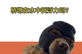 #初中物理 #每天跟我涨知识  水中的桥墩