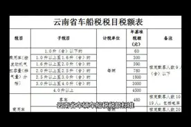 云南省车船税税目税额表@幸运车主@需要的朋友视频封面