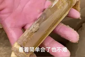 ##真实的赶海能抓到什么 #蛏王 #带你去体验渔民的生活