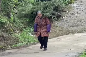 狗仔从小是奶奶把它养大的，他长大了用一生来回报奶奶的养育之恩#狗是人类最忠诚的朋友请善待它视频封面