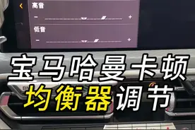宝马的哈曼卡顿不调节均衡器真的没法听，一个视频教会你，大家可以试着调一下#哈曼卡顿 #均衡器调节 #宝马 #bmw功能使用大全 #宝马x3