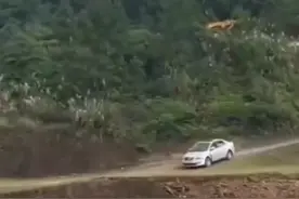 车不小心掉进水里了应该如何自救#汽车知识