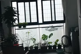 #重庆洪水潼南暴雨，重庆洪崖洞，已被淹