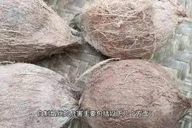 自制烟丝有哪些危害？