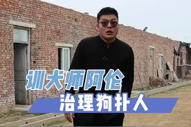 狗狗扑人快速解决#训犬师 #养狗的乐趣 #狗狗 #专业的事交给专业的人 #狗狗训练技巧