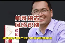 半导体集成电路产业投资项目风险识别分析（1）#芯片 #半导体视频封面