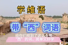 #维语教学 #热门“西”每个词中带西学维语也挺简单哦，每天坚持学一点点