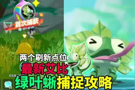 最新艾比绿叶蜥捕捉攻略，两个点位刷新#蛋仔神奇艾比