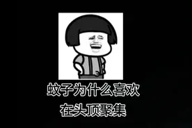 蚊子为什么喜欢在头顶聚集#你不知道的冷知识 #禁止废话