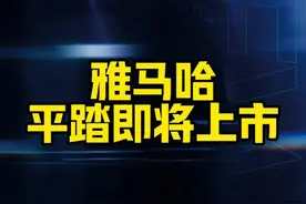 平踏板的呼声为啥这么高？#踏板摩托车 #平踏板