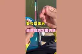 野钓抗走水最灵敏的双铅调钓方法#原来钓鱼才是抖音运动顶流 #钓鱼技巧 #调漂技巧
