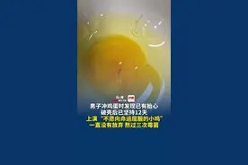 7月25日（采访时间）湖南耒阳，男子冲鸡蛋时发现已有胎心，破壳后已坚持12天，上演“不愿向命运屈服的小鸡”；当事人：“一直没有放弃，熬过三次霉菌，大家都是希望它活下去”。