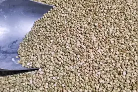 给大家介绍一下荞麦#真材实料才能做出好味道 #石磨 #健康食品视频封面