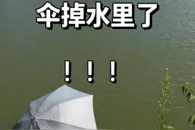 下次还是跟爸爸去钓鱼吧 跟他钓鱼不靠谱#吉利银河星舰7EM-i #钓鱼 #天赋异禀