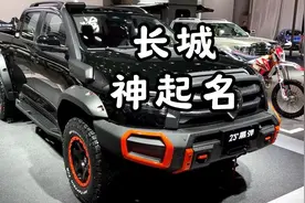 长城起名真的一绝，哈弗遛狗你看如何#dou是好车 #带你懂车视频封面