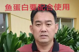 鱼蛋白需要配合使用