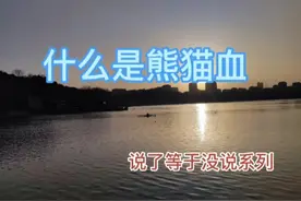 #兔年开工健康指南 #什么是熊猫血#医学科普 #科普健康知识