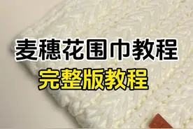 麦穗花围巾完整版教程～ 一针一线温暖他/她整个冬天#织围巾给男朋友 #织围巾 #手工diy #围巾视频封面