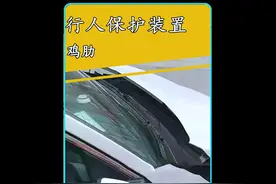行人保护装置到底是不是鸡肋！