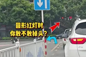老司机来说说，红灯时能不能掉头？ #每天一个用车知识 #驾驶技巧