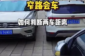 窄路会车，新手学会这个技巧，能判断车距避免剐蹭#驾驶技巧 #每天一个用车知识