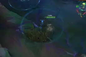 羊刀三项转暴击体系，t5的薇恩我这样出能在宗师王者局乱杀打出t1的强度，到底是我强还是装备强，进直播间见分晓视频封面