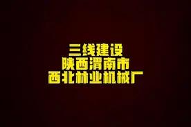 陕西渭南西北林业机械厂#三线记忆 #厂二代 #三线厂 #三线建设视频封面